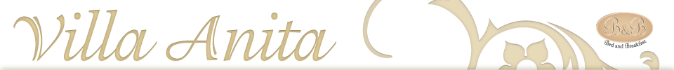 Villa Anita Logo